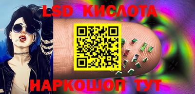 прущие грибы Долгопрудный