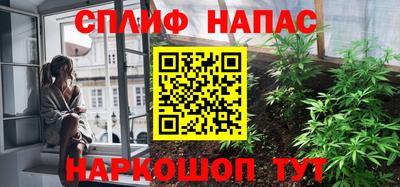 прущие грибы Долгопрудный