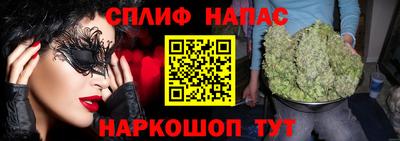прущие грибы Долгопрудный