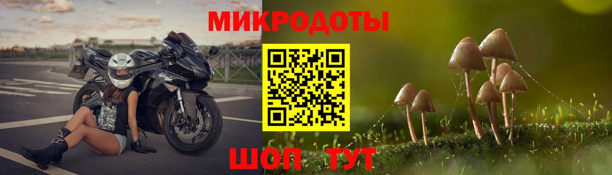 Галлюциногенные грибы Cubensis Белебей